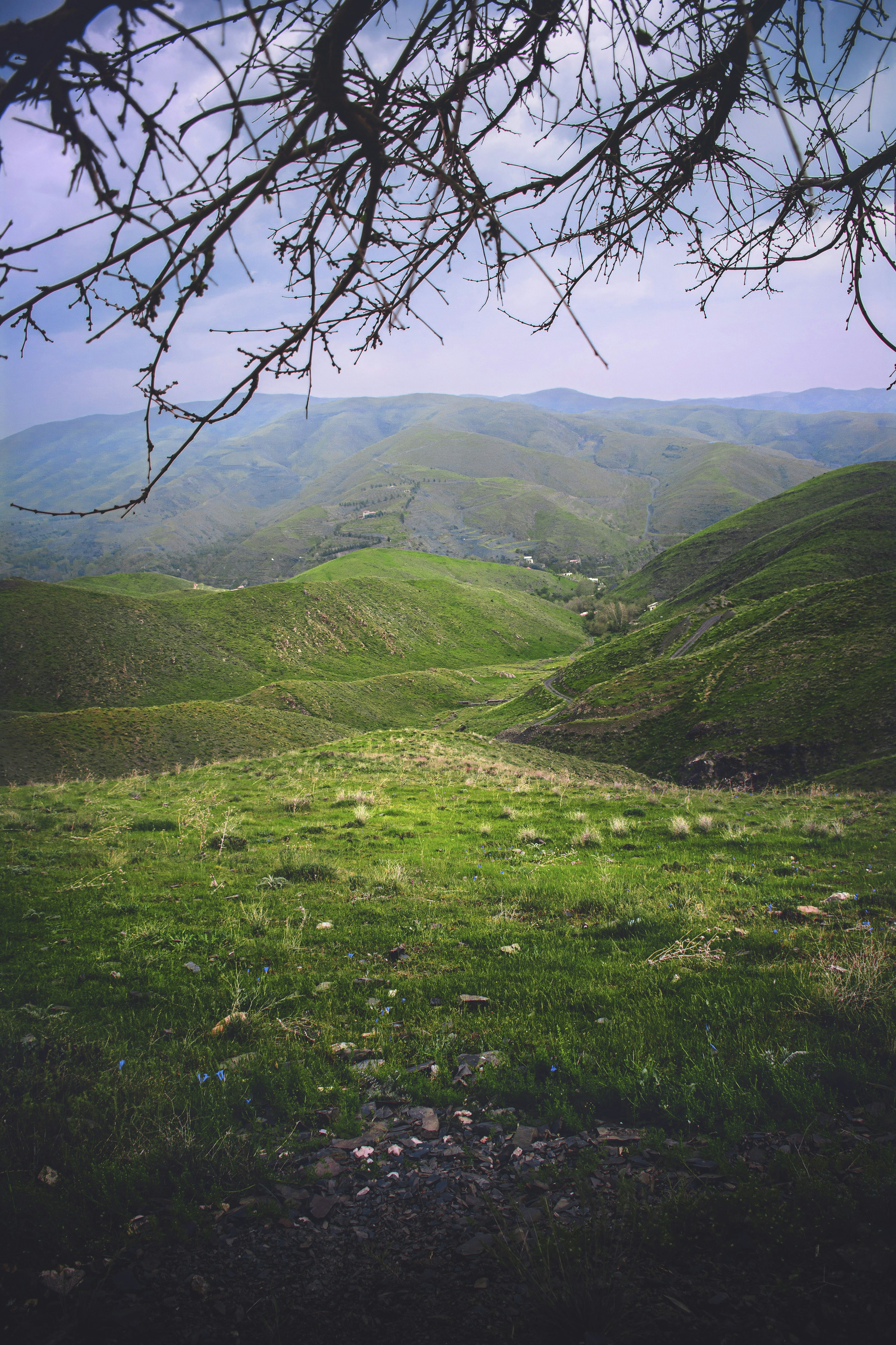 Photo by saeidazizi_64285