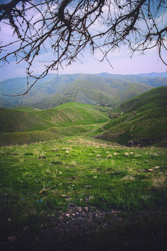 green grass field and mountains during daytime in Mashhad Iran