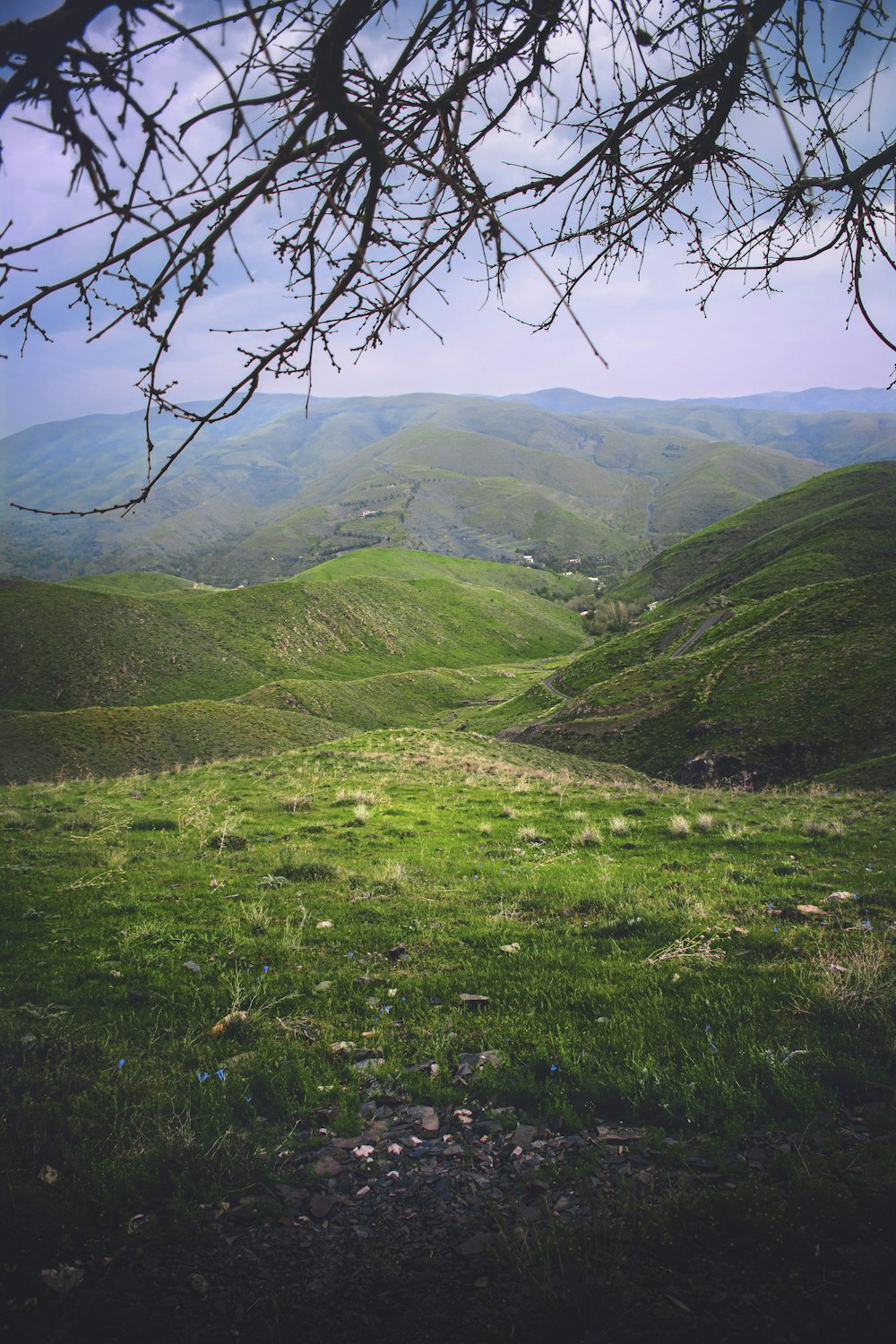 green grass field and mountains during daytime