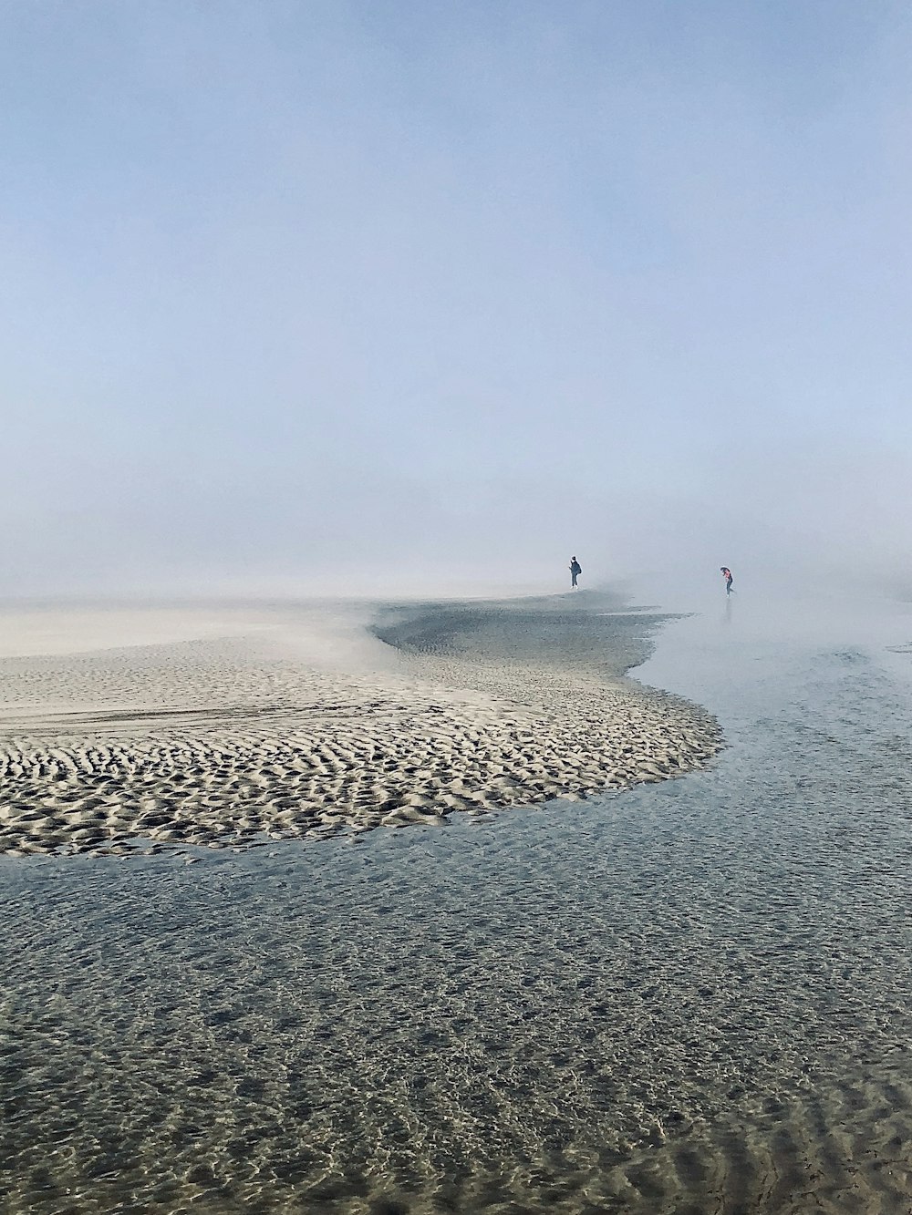 people on beach during daytime