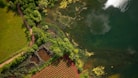 aerial view of green trees and river