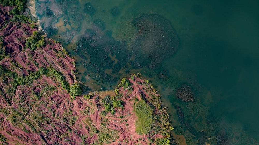 Vue aérienne d’arbres verts et bruns et d’un plan d’eau