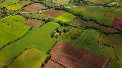 aerial view of green grass field