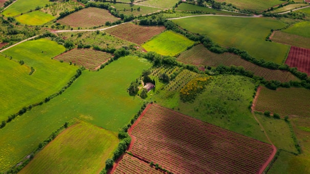 aerial view of green grass field