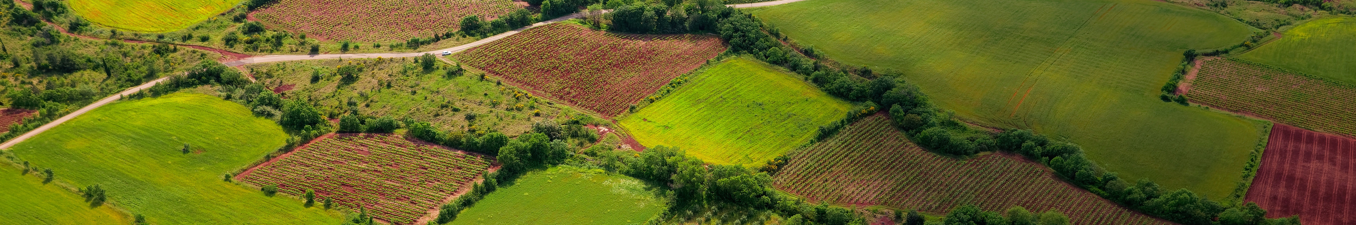 EDF's power generation used an estimated 3.5 million hectares of land, affecting biodiversity