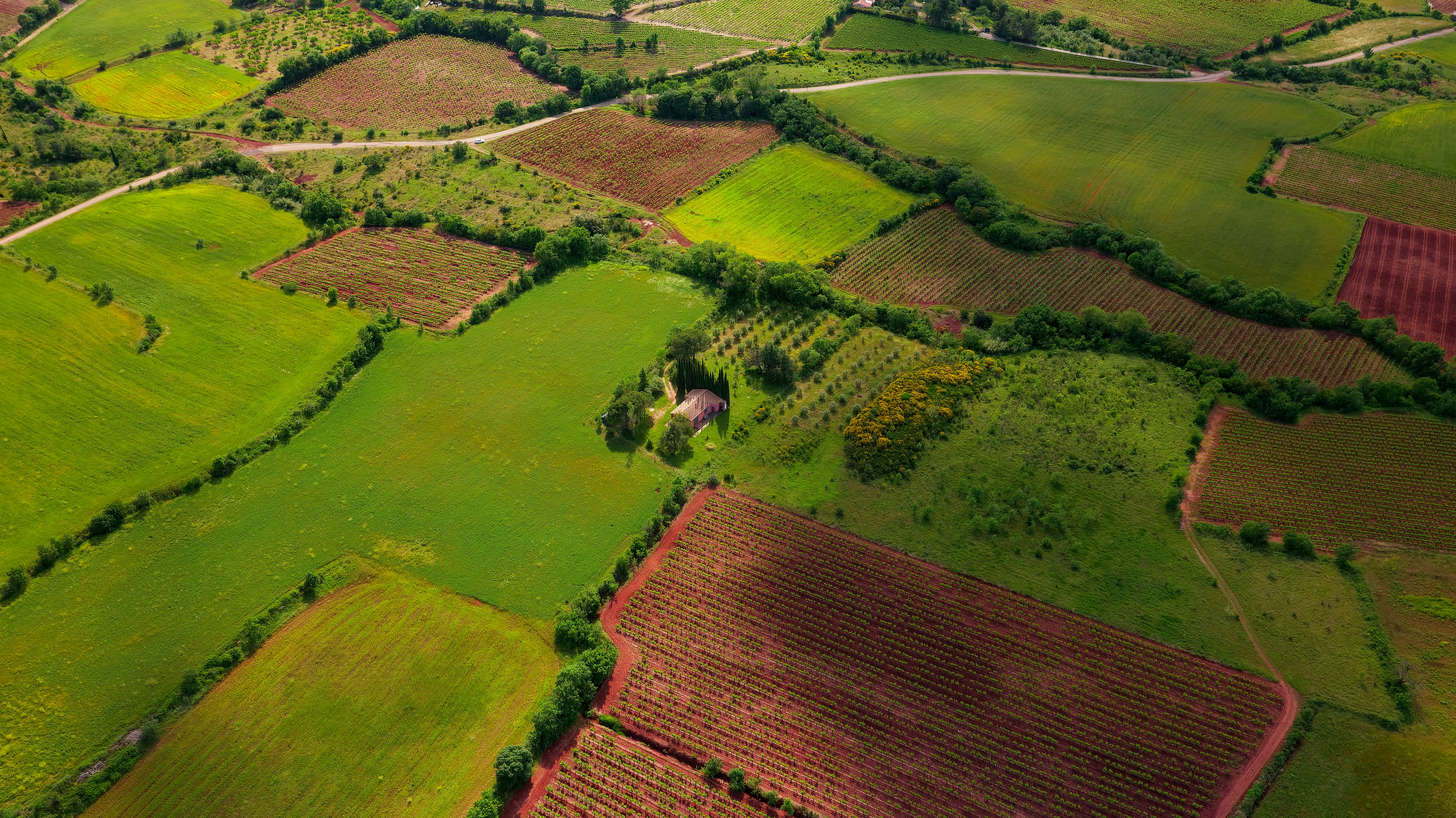 Maillot de foot féminin france