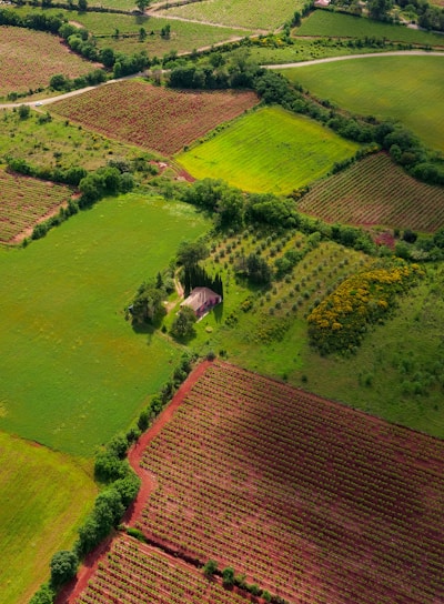 aerial view of green grass field