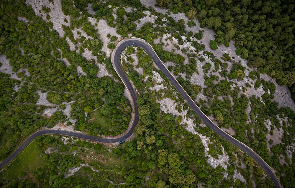 aerial view of road in the middle of green trees