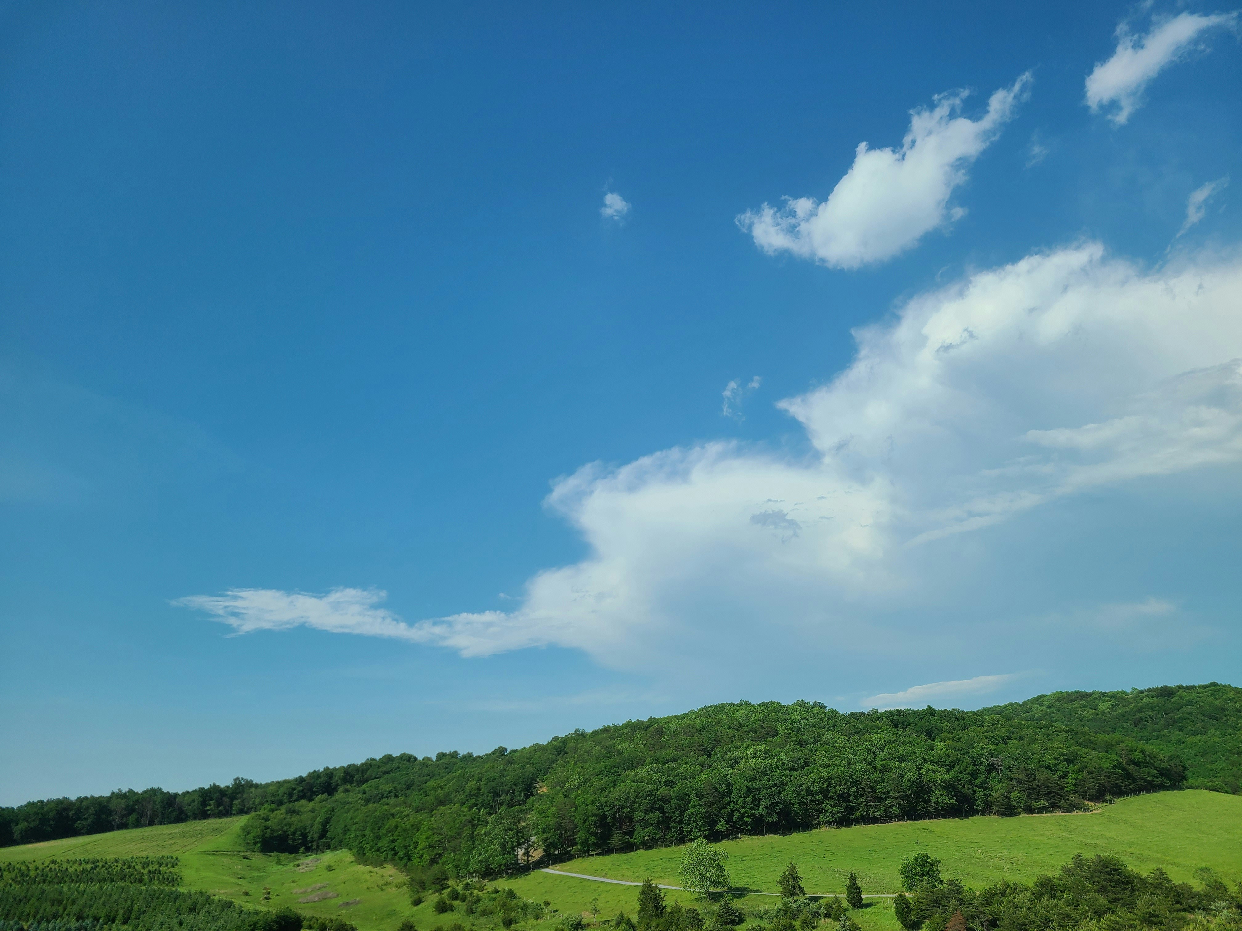 Photo by onemoretime2020