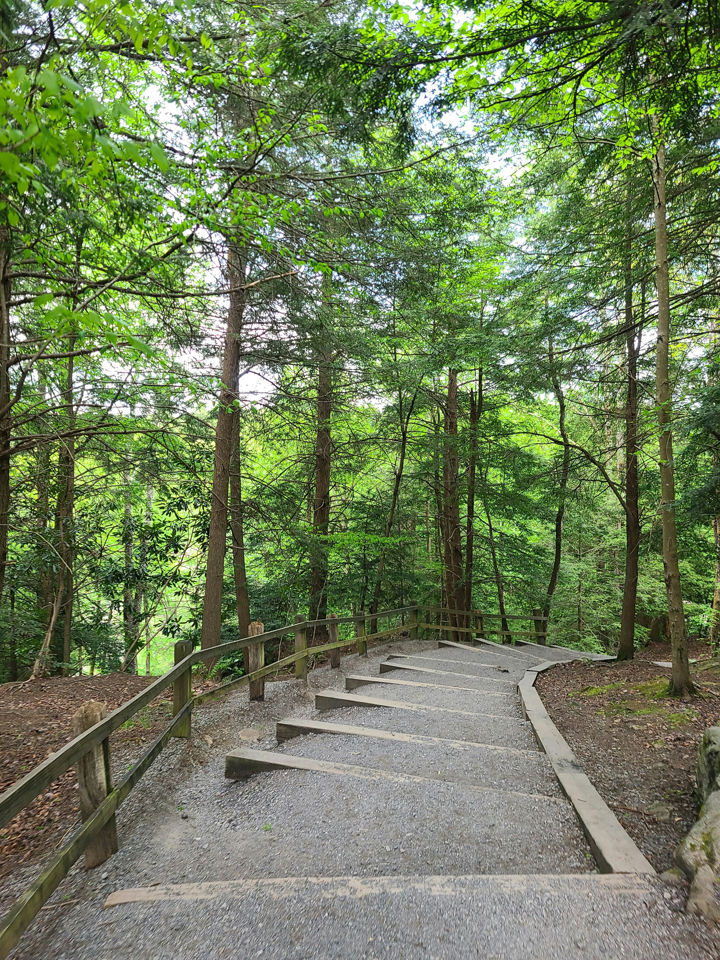 Photo by onemoretime2020