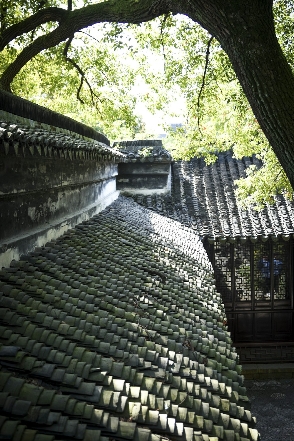 gray concrete stairs near green trees during daytime