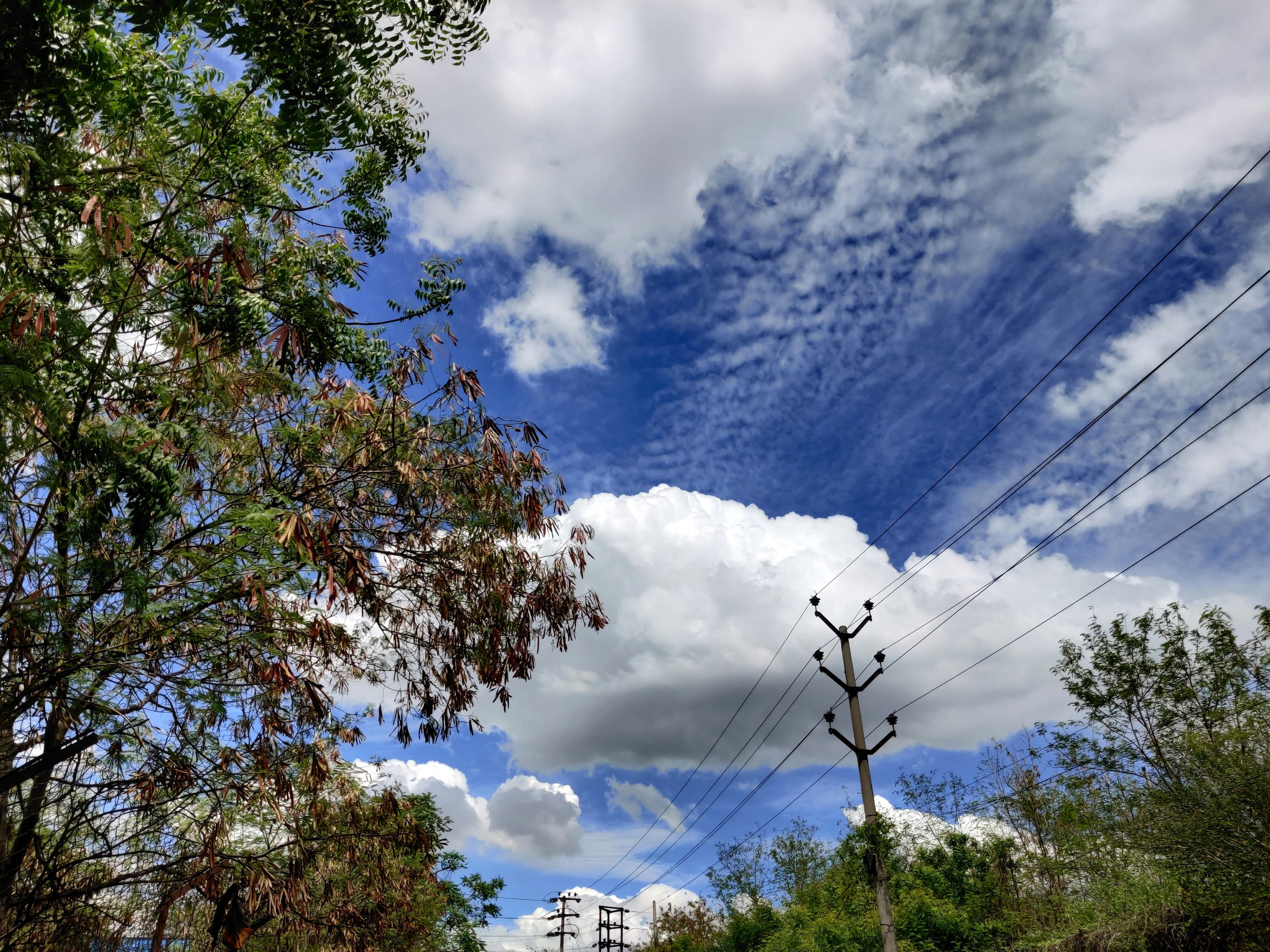 Photo by pratappsingh