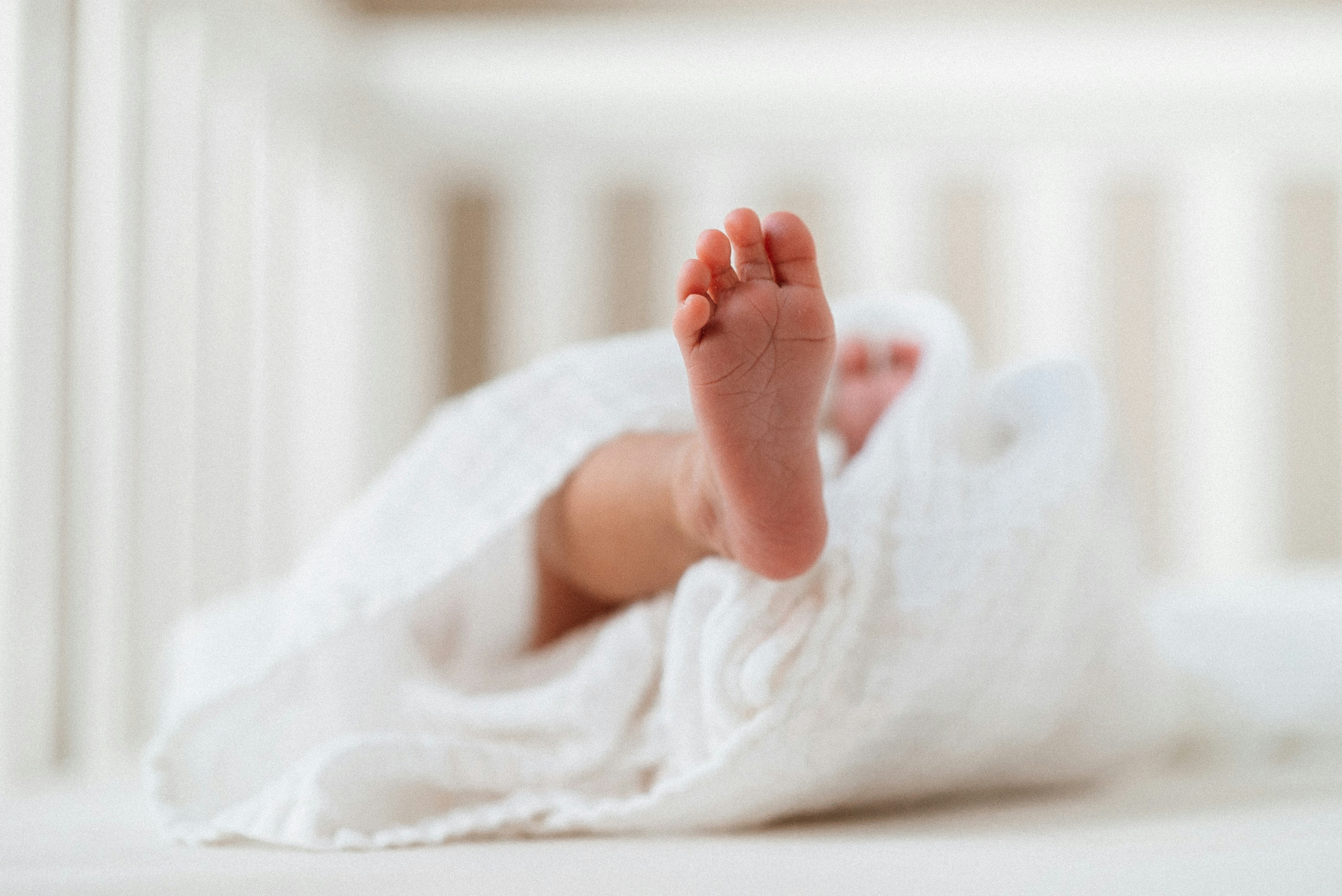 Photo by giginkrishnan