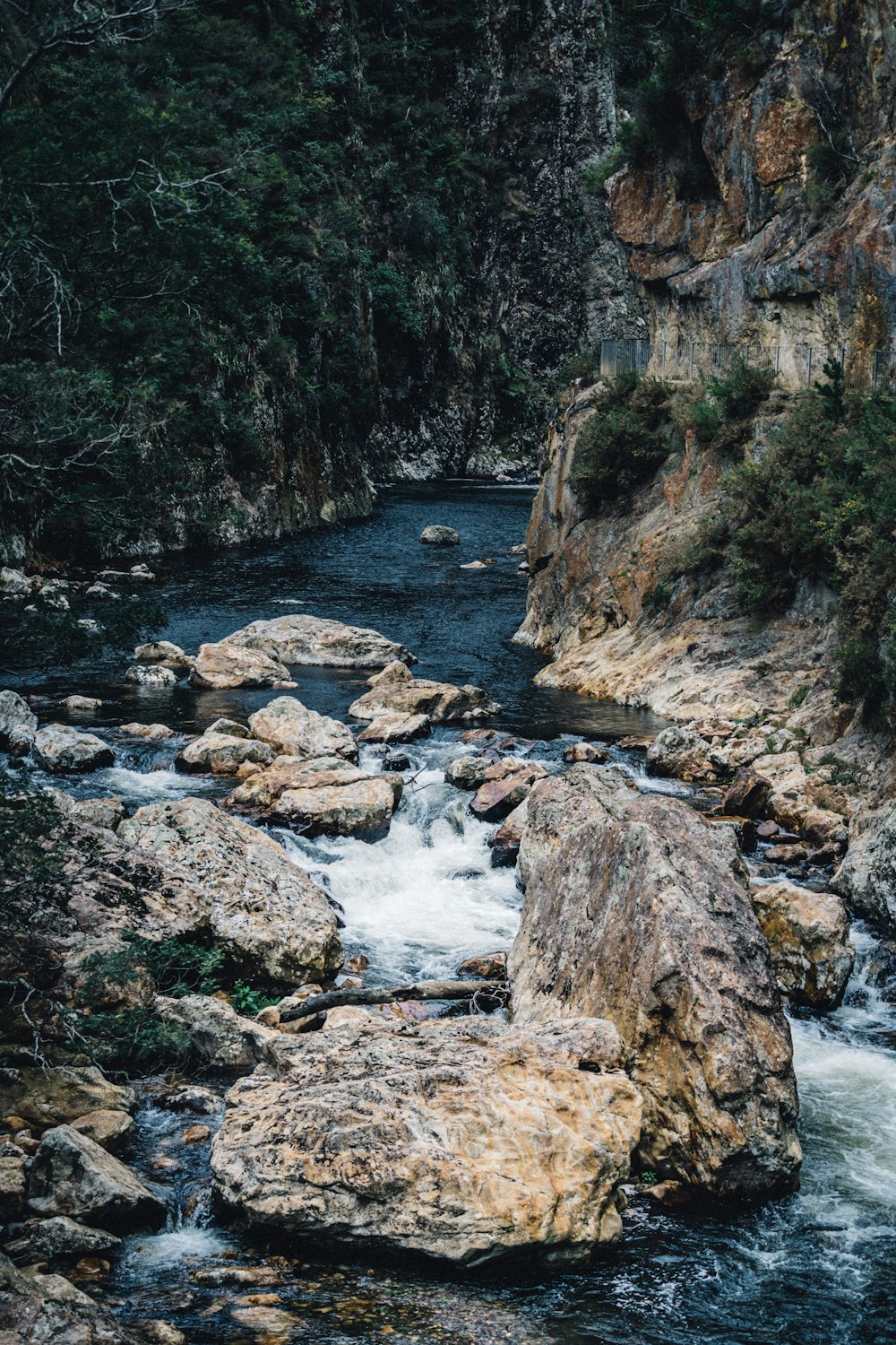 river in between rocky mountain during daytime