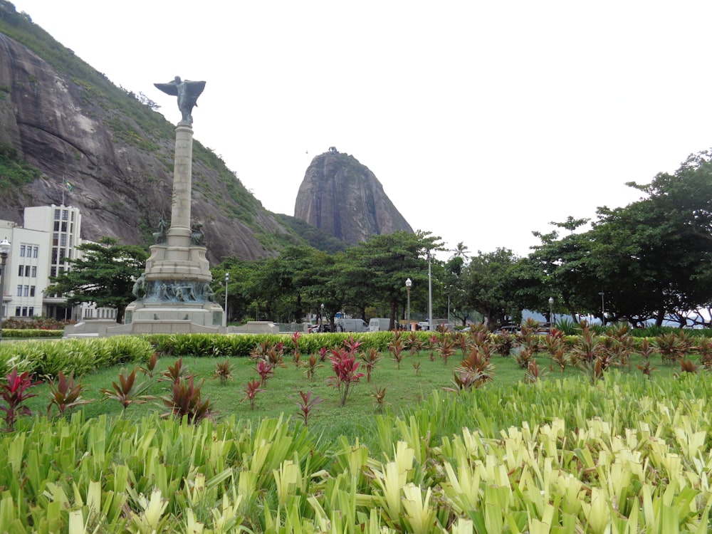 people on park near mountain during daytime