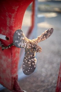 A metal boat propeller encrusted with barnacles and marine growth is mounted on a red background. The weathered red paint and barnacles indicate it has been submerged in the ocean for extended periods. The image is focused on the texture and details of the barnacles, with blurred surroundings.