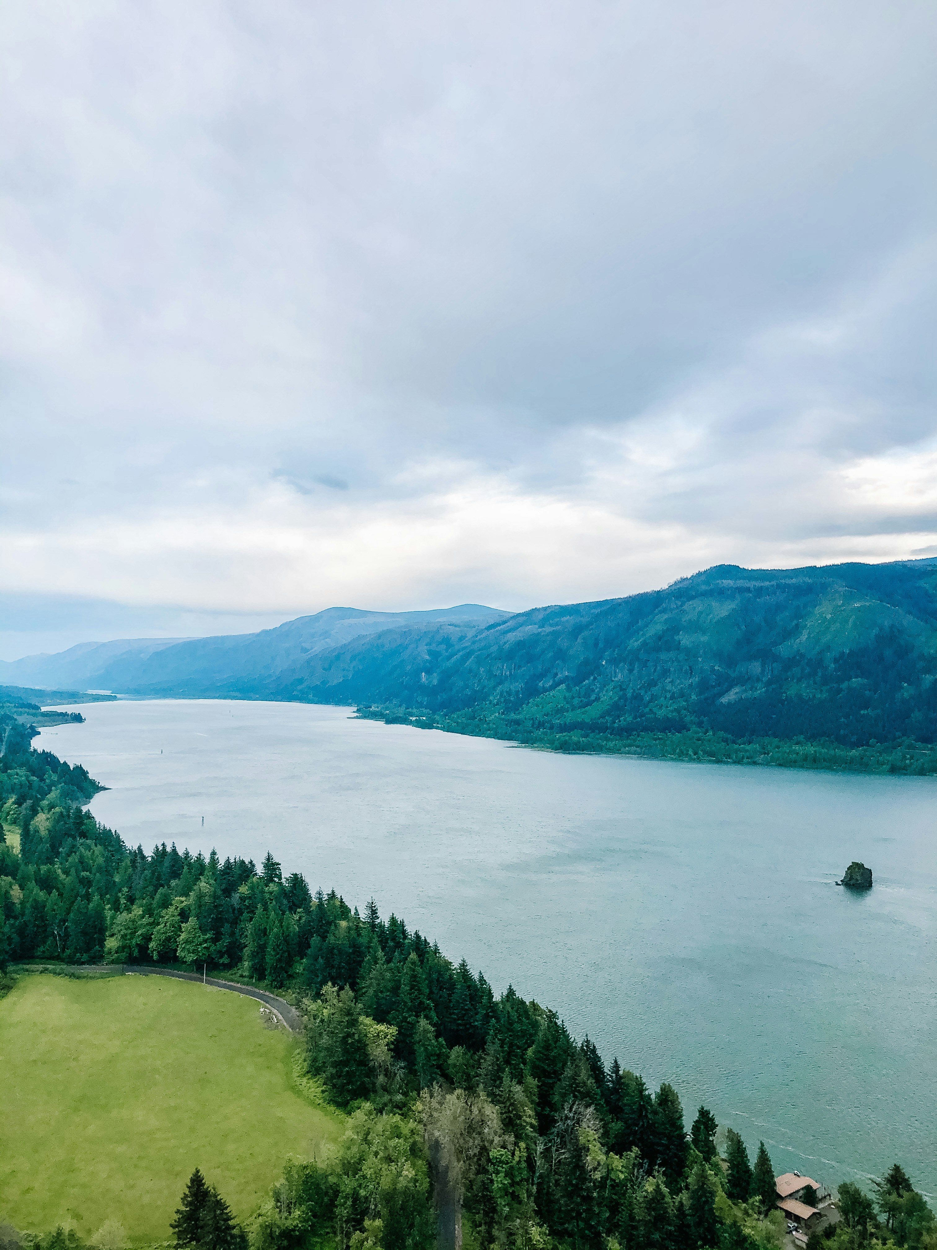 green trees near lake under cloudy sky during daytime