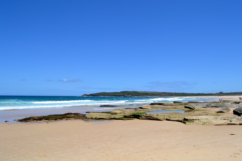 brown sand beach during daytime