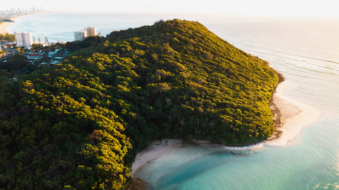 Travel Tips and Stories of Tallebudgera in Australia