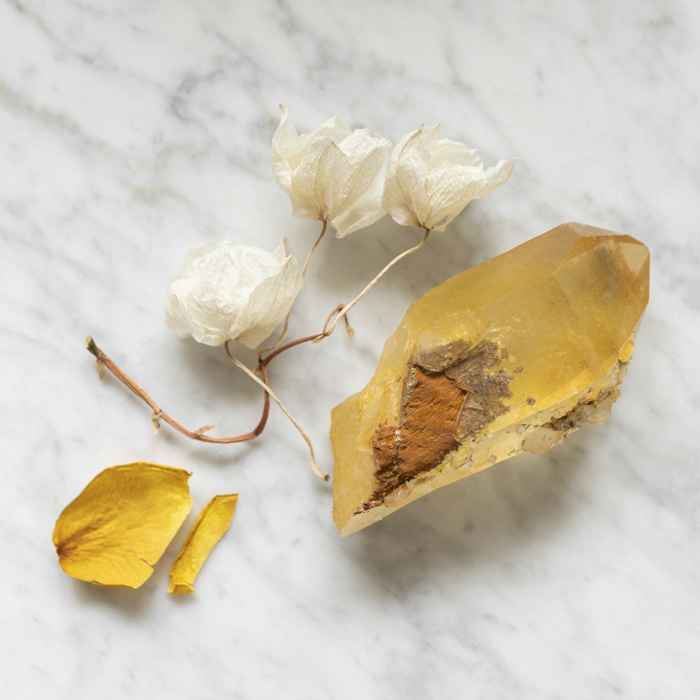 yellow dried leaf on white snow