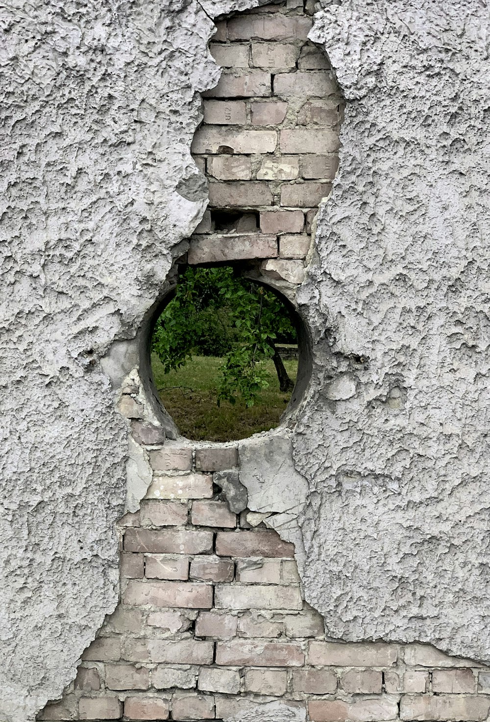 parede de tijolo de concreto cinzento com grama verde