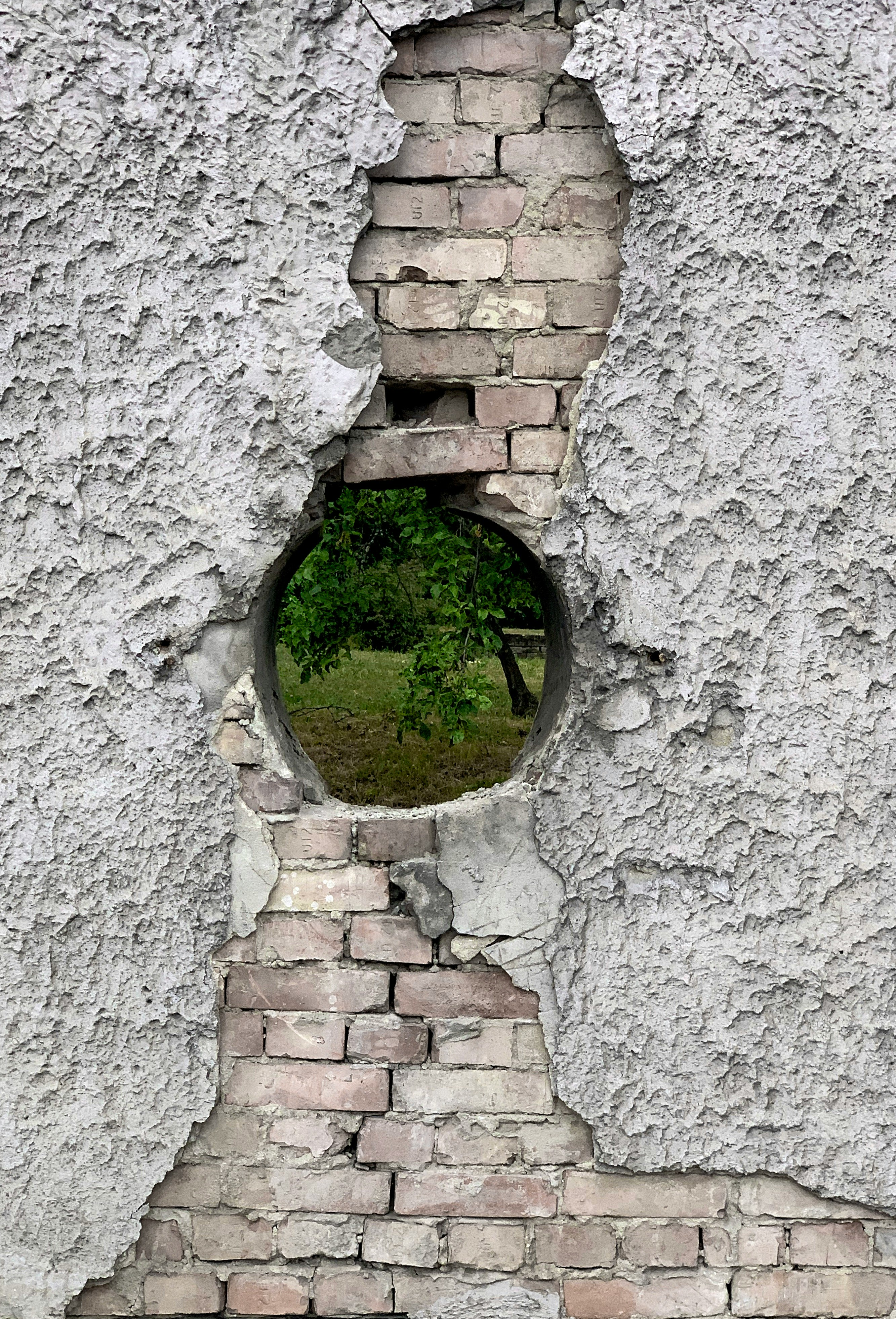 grey concrete brick wall with green grass