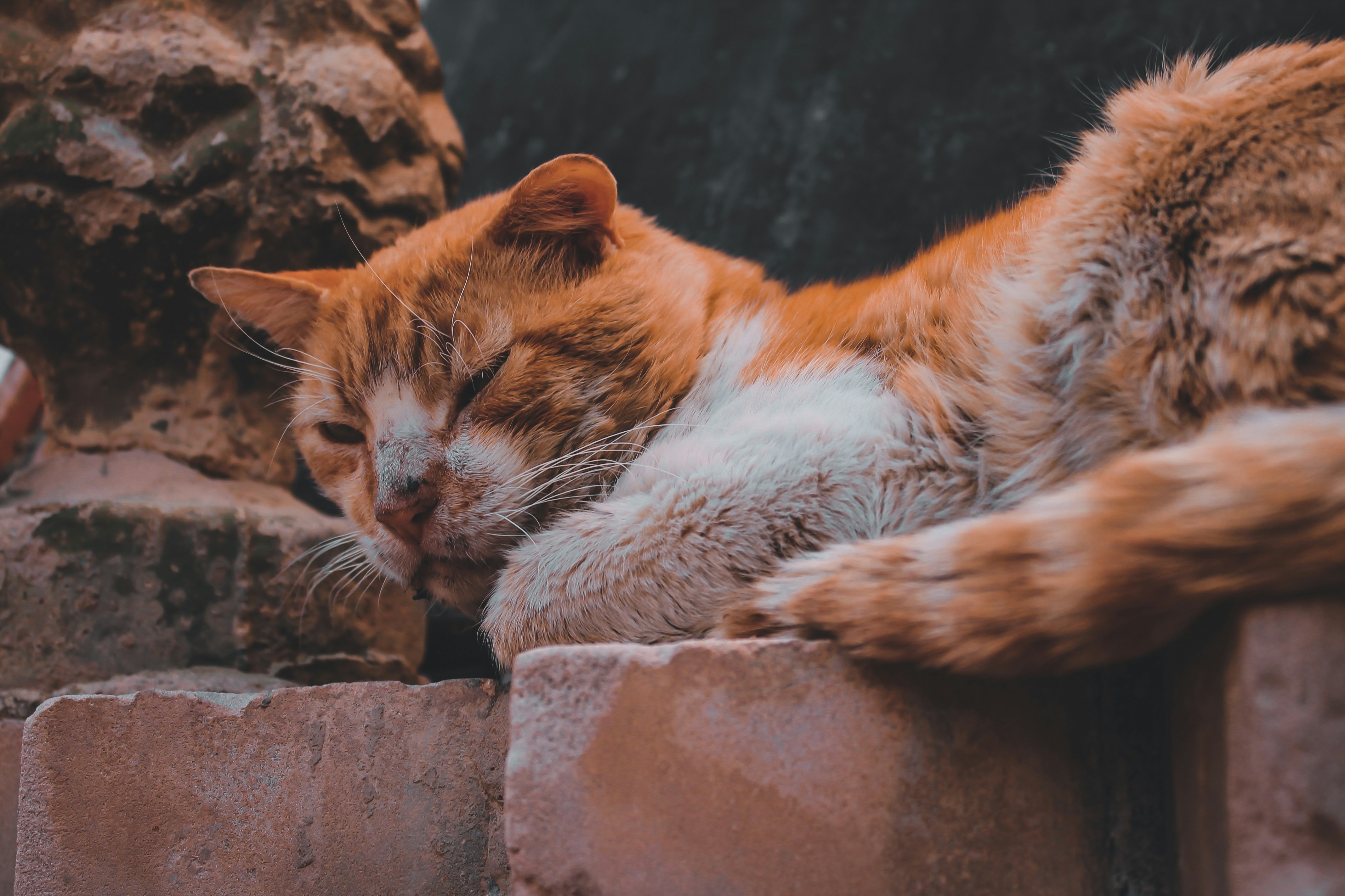 Photo by lamine__belhadj