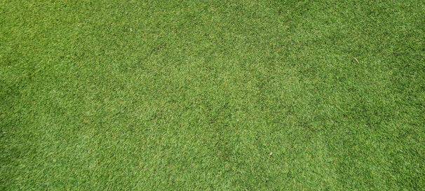 Close-up of a technician using moisture-mapping sensors on a lush green lawn.