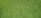 A close-up view of well-maintained, lush green grass with a uniform texture.