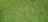A close-up view of well-maintained, lush green grass with a uniform texture.