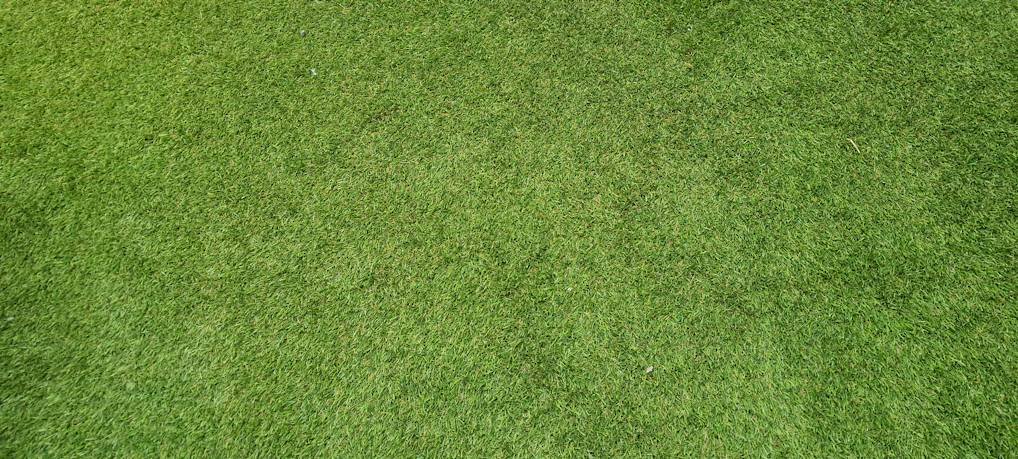 Close-up of fresh, green natural turf being carefully laid in a garden.