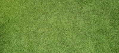 Close-up of a technician using a moisture-mapping sensor on a lush green lawn.