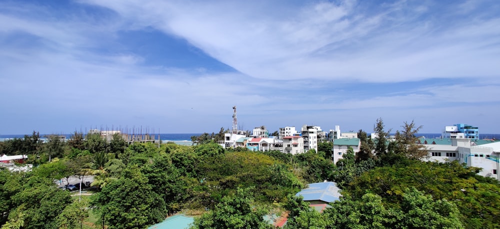 white and brown concrete buildings near green trees under blue sky during daytime