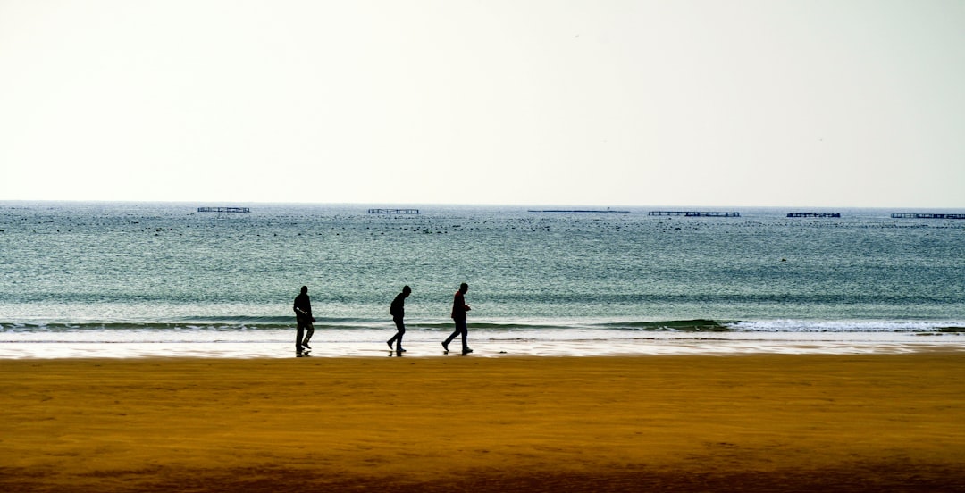 3 people walking on beach during daytime