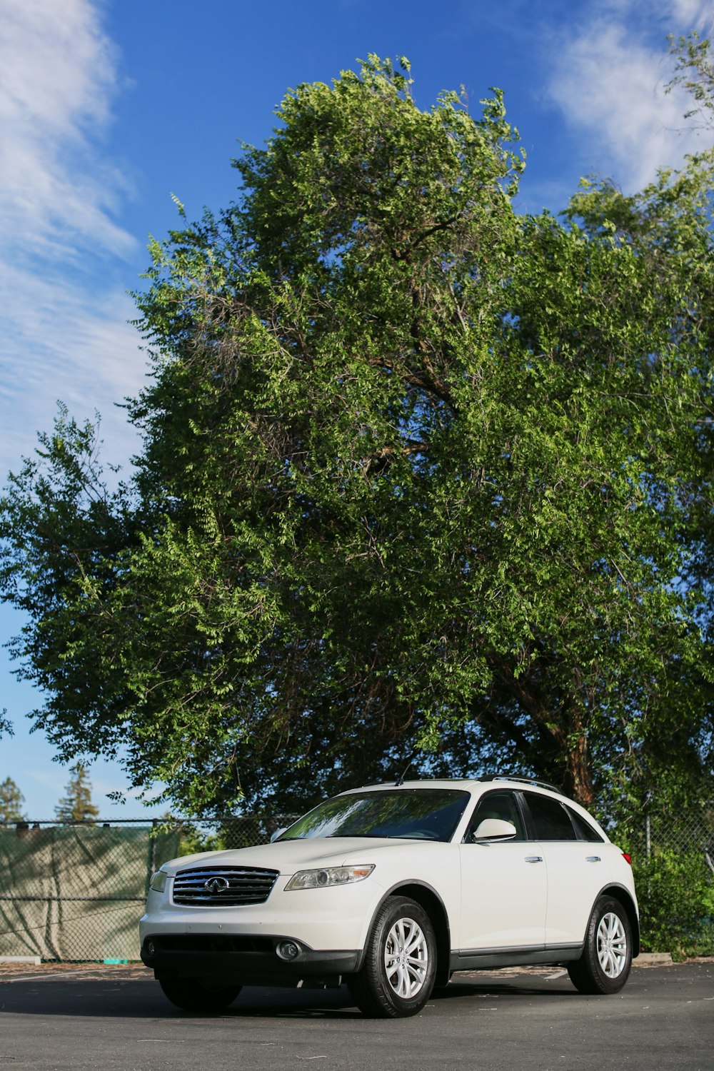 white car parked near green tree during daytime