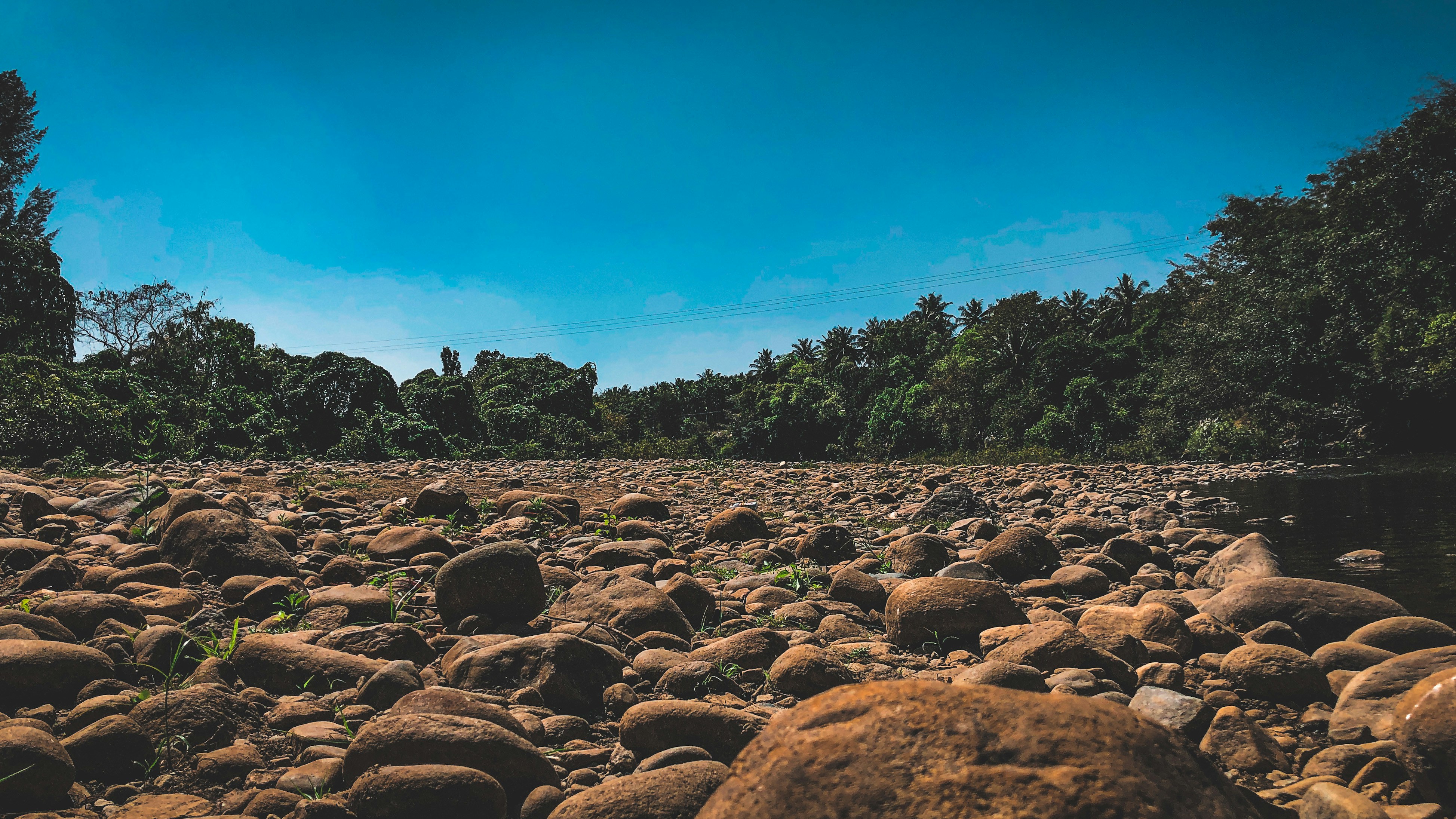 India's Historic Climate Change Initiative: Harnessing the Power of Coastal Ecosystems