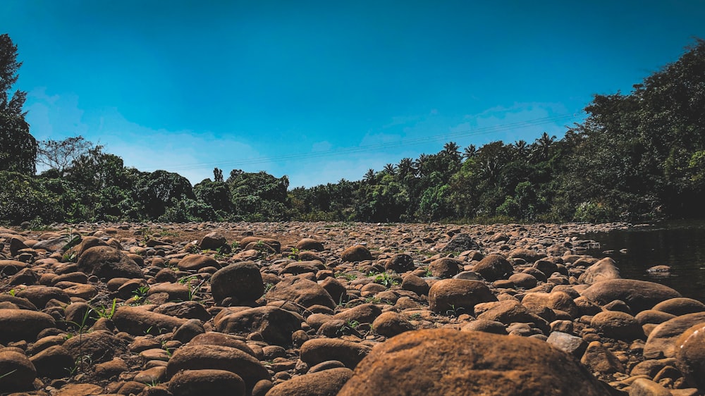 brown rocks on brown soil under blue sky during daytime