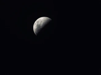 The moon’s cratered landscape illuminated under deep space shadows.