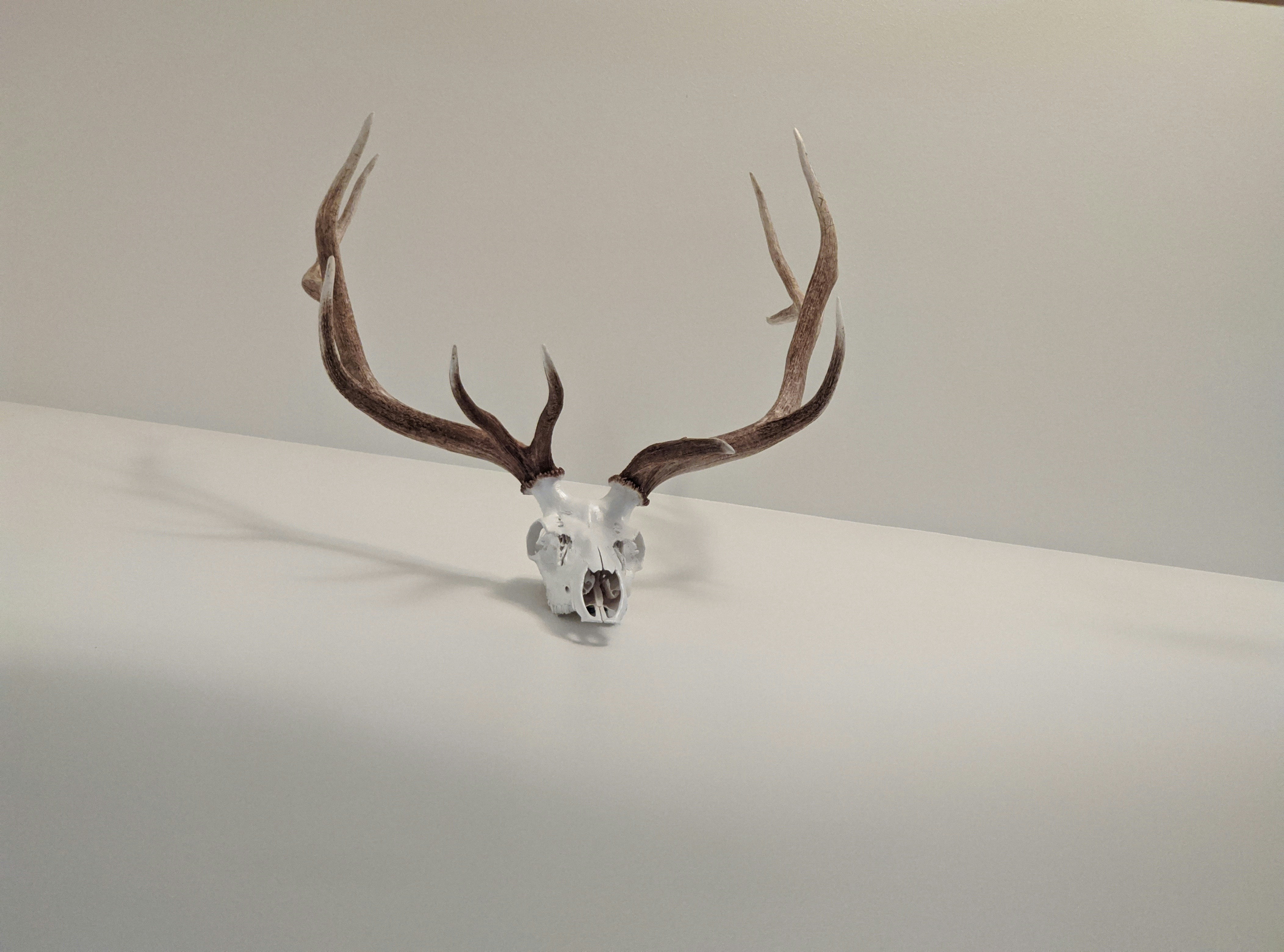 【続編】ステーブルコインはビットコインにとって「利便性向上の起爆剤」か、「歓迎されざる競合」か？２