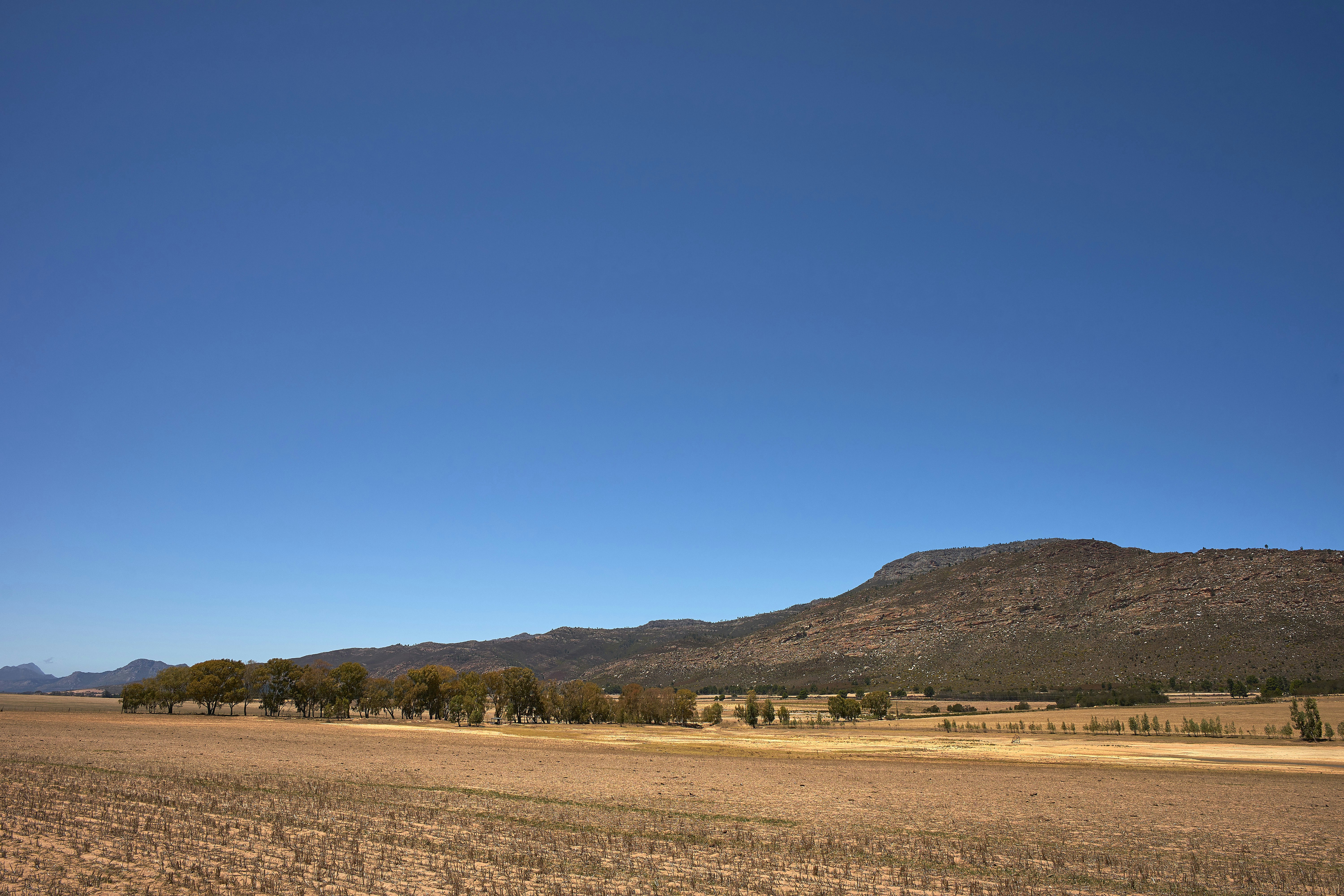 Photo by wolfgang_hasselmann