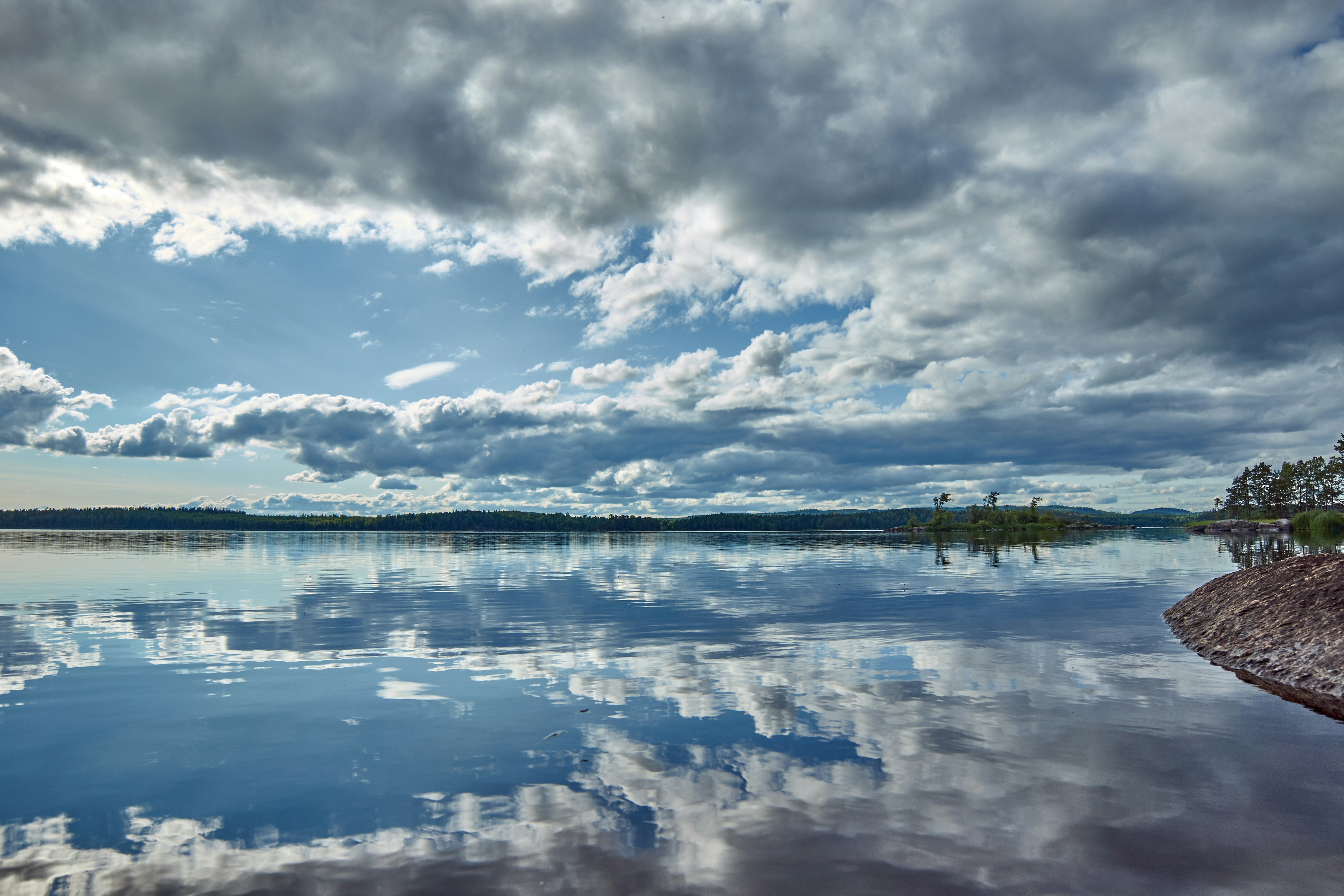 Photo by wolfgang_hasselmann