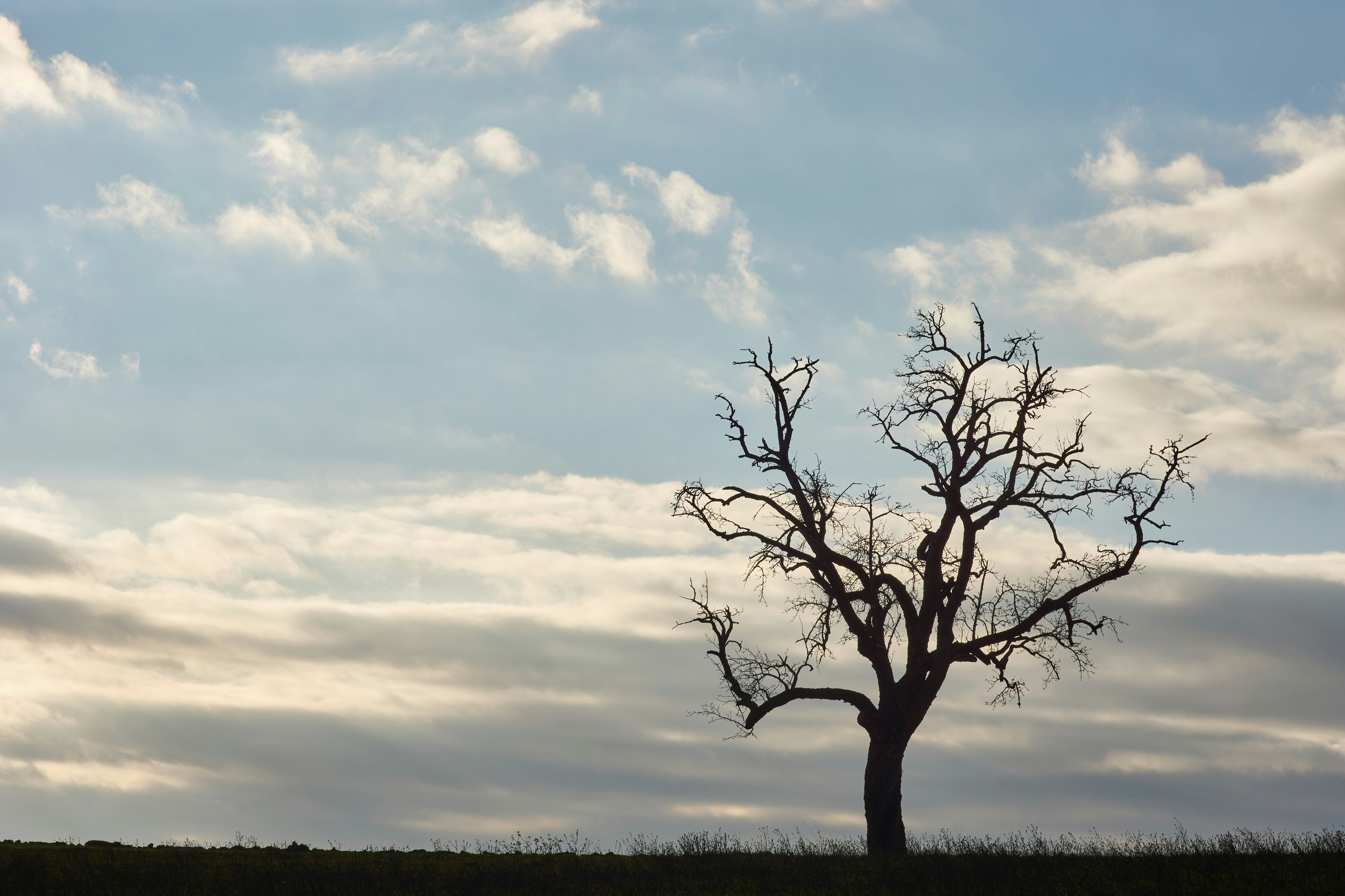 Photo by wolfgang_hasselmann