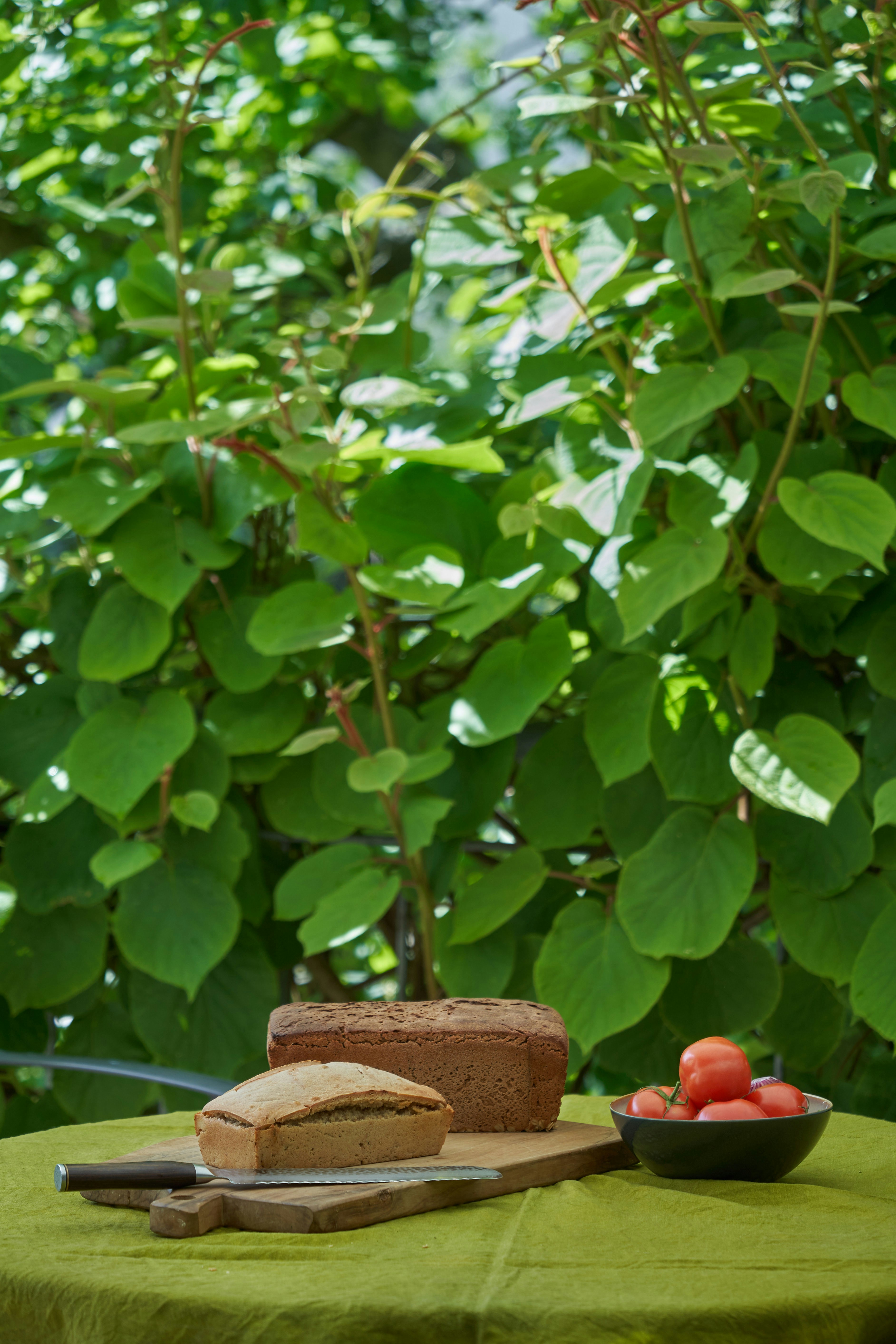 Photo by wolfgang_hasselmann