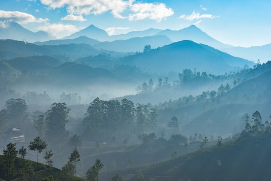 green trees and mountains during daytime in Munnar India