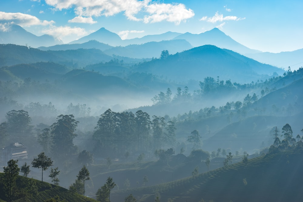 green trees and mountains during daytime