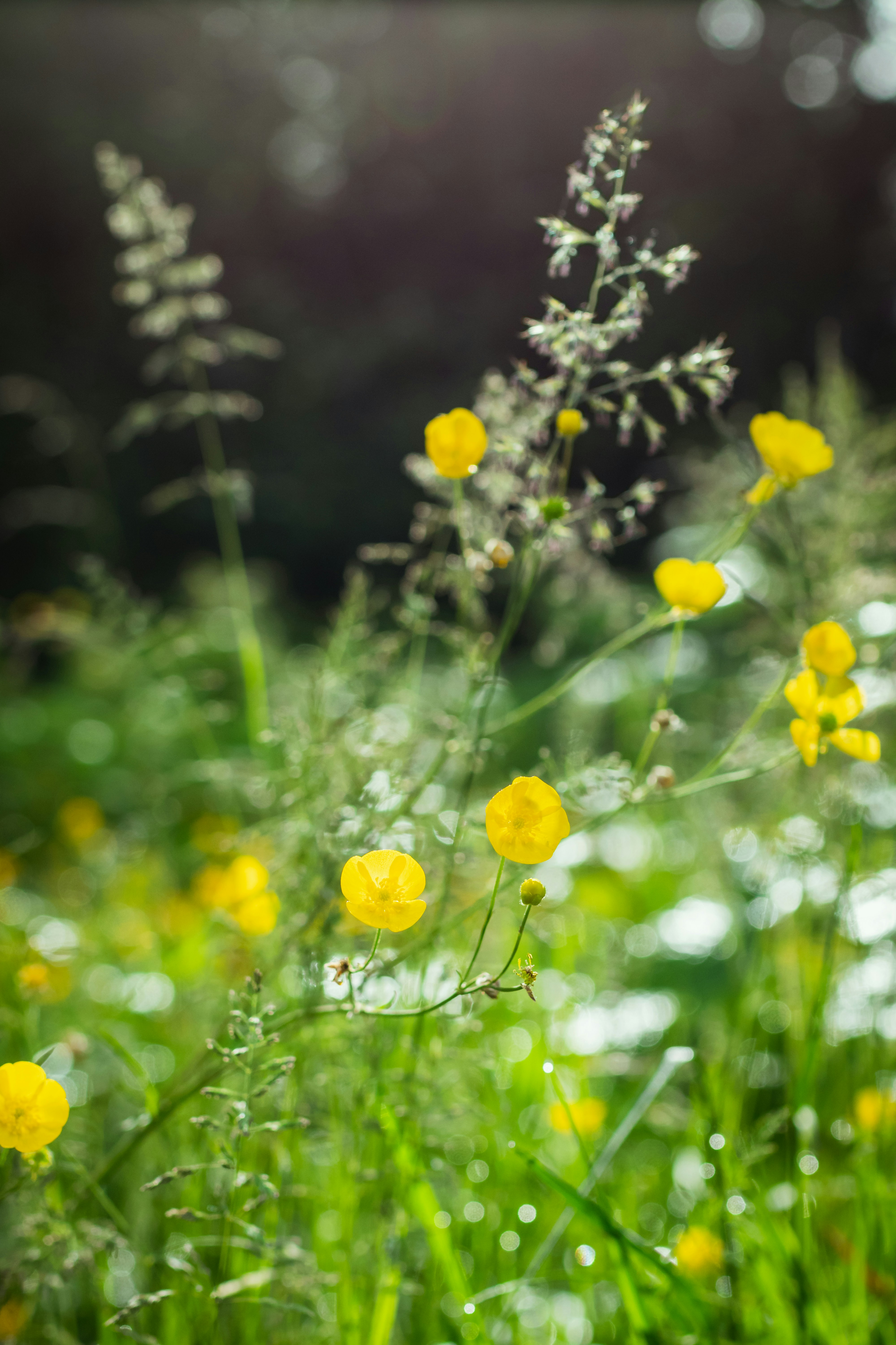 Photo by greg_rosenke