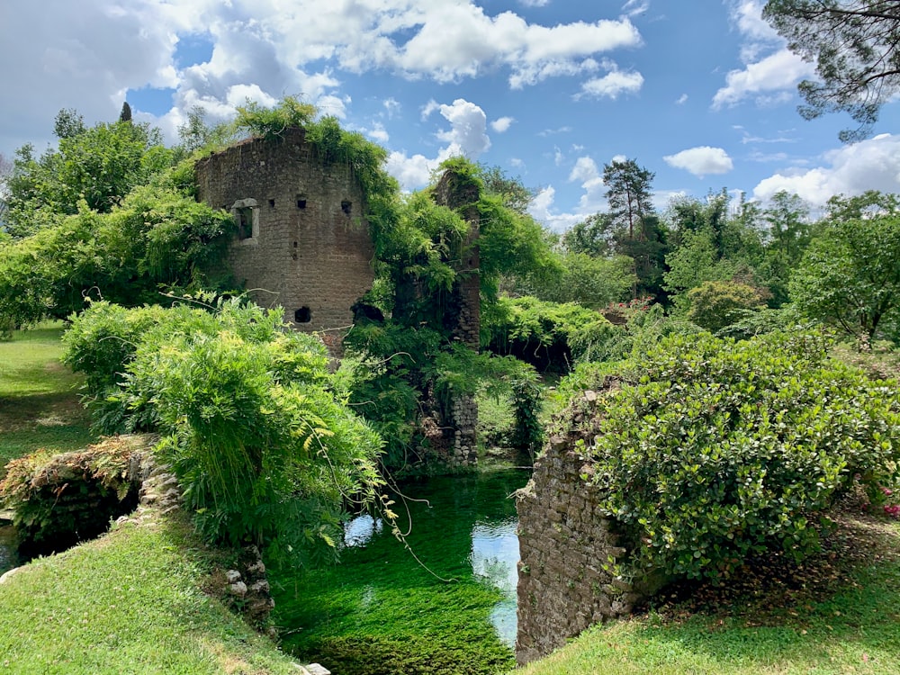 green trees beside river under blue sky and white clouds during daytime