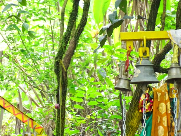 A collection of ornate bells hangs from a wooden beam in a lush forest setting. The bells vary in size and are accompanied by colorful fabrics and ribbons. Vibrant green foliage surrounds the area, while the beams and tree branches are covered in moss.