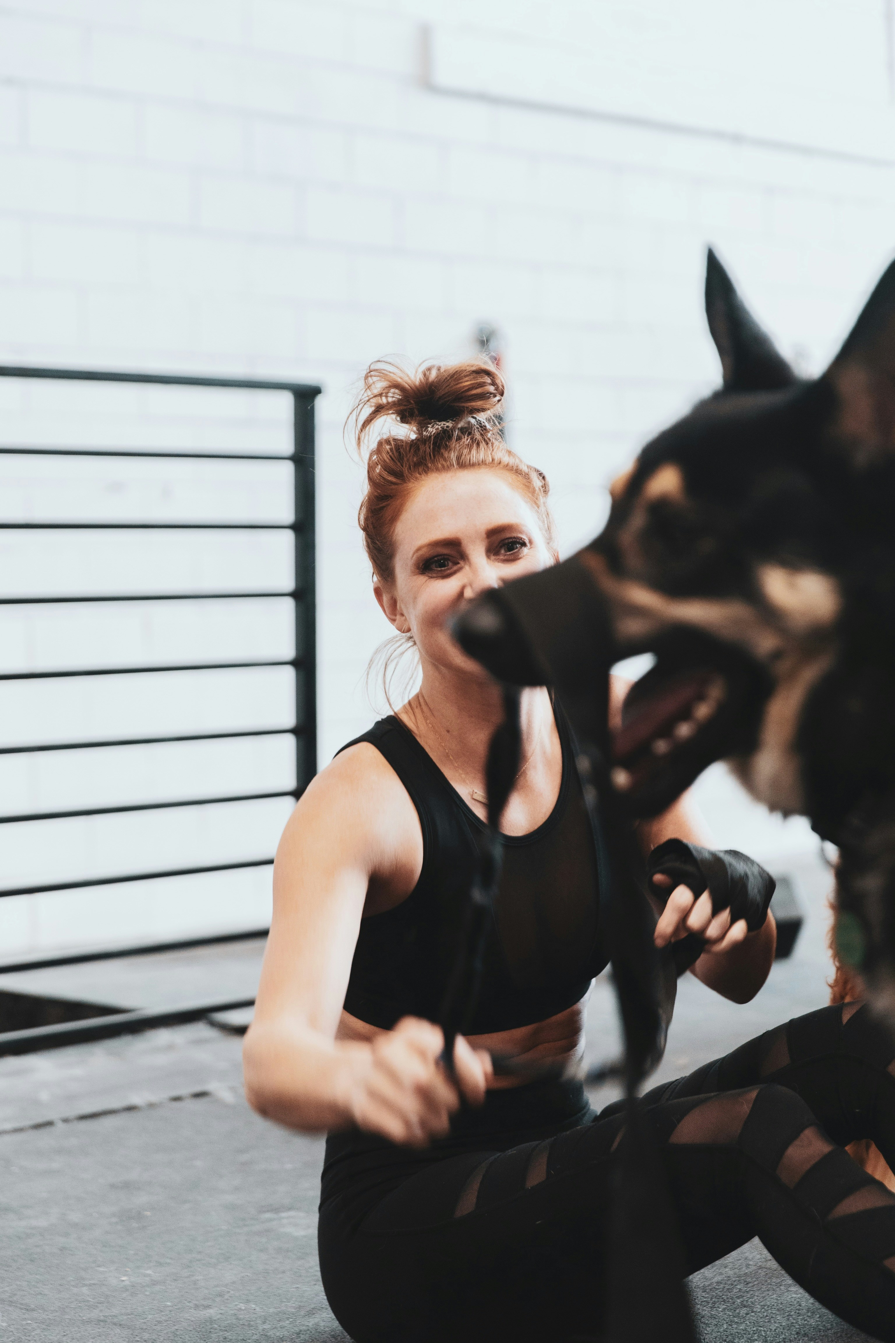 Rawalpindi Canine Basics