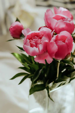 A bright and airy shot of a modern floral arrangement featuring soft pink peonies and fresh eucalyptus leaves in a clear glass vase.